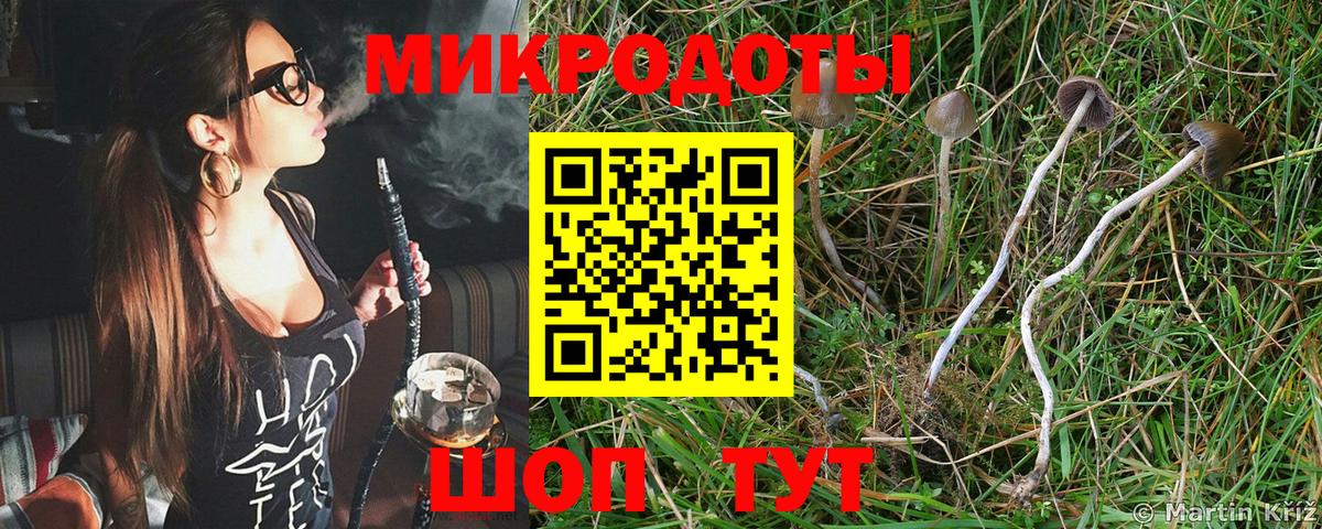 Амурск  Галлюциногенные грибы Magic Shrooms  Вход с VPN 
